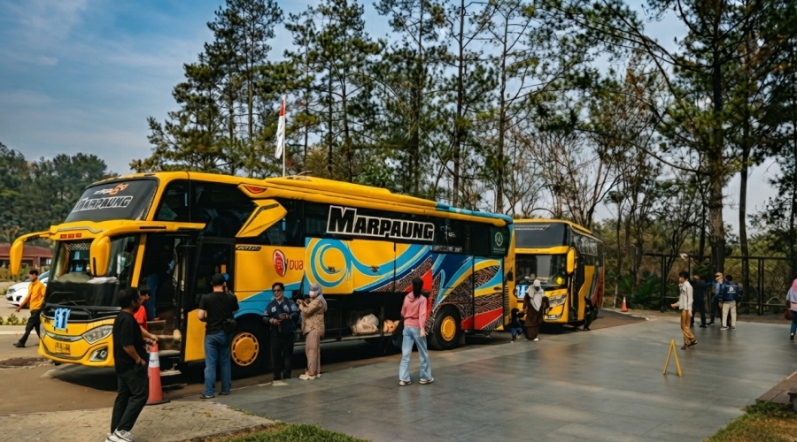 Semarakkan Gathering Kantor di Taman Safari Bogor Bersama Bus Marpaung